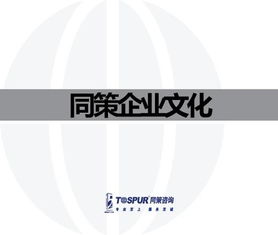 致客戶的承諾——做值得托付的房地產(chǎn)智囊\n副標(biāo)題 某房地產(chǎn)咨詢服務(wù)公司企業(yè)文化重塑行動(dòng)綱要文件（內(nèi)部審核版）\n\n**第2-3頁(yè) 我們的行業(yè)信念**\n? 房地產(chǎn)不僅是鋼筋水泥，更是城市靈魂的載體。“我們尊重每一塊土地的基因?！盶n? 唯一不變的是變化與專業(yè)。核心命題 從增長(zhǎng)邏輯轉(zhuǎn)向價(jià)值邏輯的生存之道。\n\n**第4-5頁(yè) 使命定義**\n我們存在的根本原因 “賦能不動(dòng)產(chǎn)全周期，讓投資回歸價(jià)值本質(zhì)。”（注 在供給側(cè)改革與去金融化大背景下，幫助客戶甄別泡沫，專注抗周期真理。）\n\n**第6-8頁(yè) 戰(zhàn)略